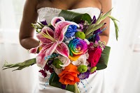 Weddings With Grace Photographer 1077102 Image 0